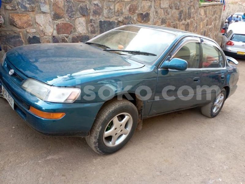 Big with watermark 58379780 2233563783626908 772935409943445504 n