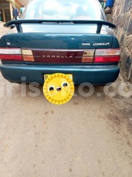 Big with watermark 57775079 2233563680293585 4062244205303431168 n