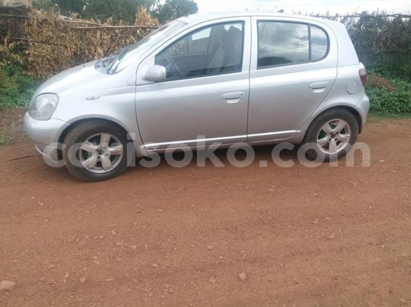 Big with watermark 58113400 206682550309330 1116193323703336960 n