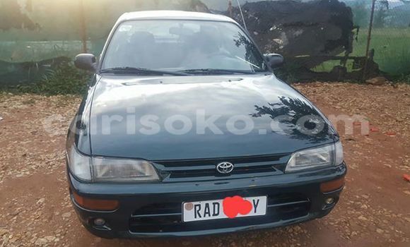 Buy Used Toyota Corolla Black Car in Kigali in Rwanda Buy Used Toyota Corolla Black Car in Kigali in Rwanda