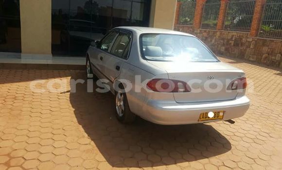Buy Used Toyota Corolla Silver Car in Kigali in Rwanda Buy Used Toyota Corolla Silver Car in Kigali in Rwanda