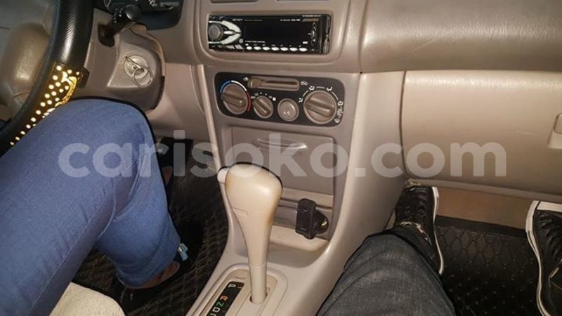 Big with watermark 57459383 206218020355783 5939000297811607552 n