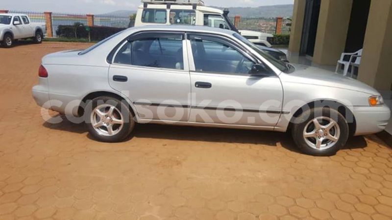 Big with watermark 57556898 206217963689122 8845157053560258560 n