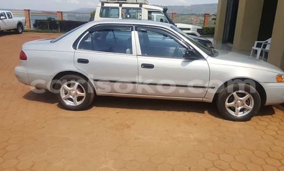 Buy Used Toyota Corolla Silver Car in Kigali in Rwanda Buy Used Toyota Corolla Silver Car in Kigali in Rwanda