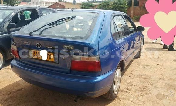 Buy Used Toyota Corolla Blue Car in Kigali in Rwanda Buy Used Toyota Corolla Blue Car in Kigali in Rwanda
