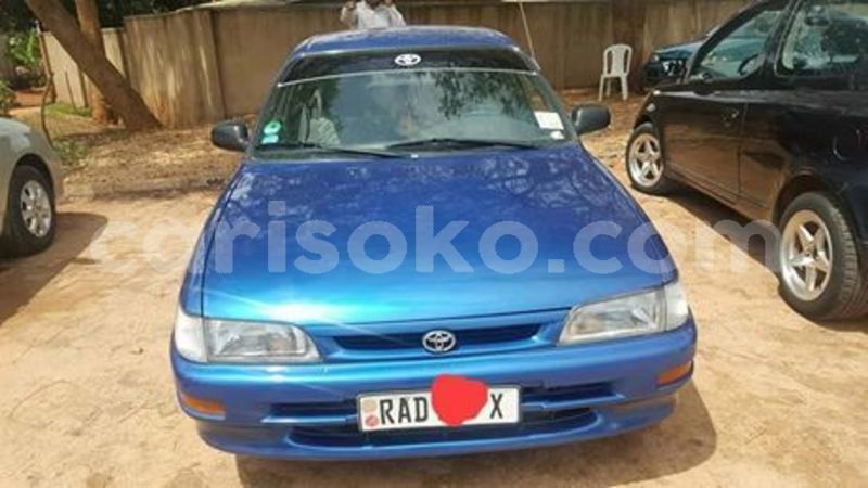 Big with watermark 58379435 205575470420038 1650465359582461952 n