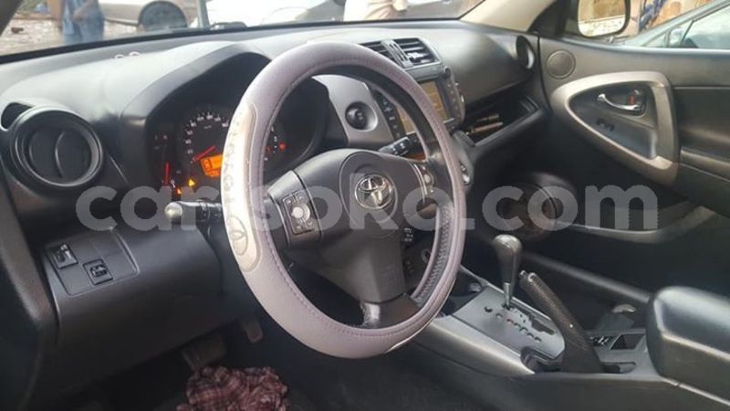 Big with watermark 57453716 205456740431911 4037641863832797184 n