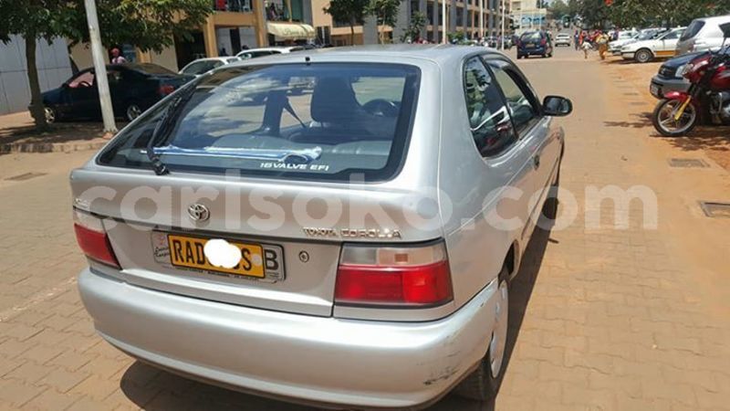 Big with watermark 57226267 205206070456978 7290058281689546752 n