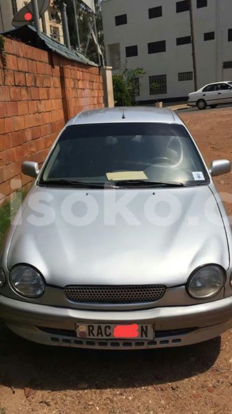 Big with watermark 57471727 204919483818970 8856313914011418624 n