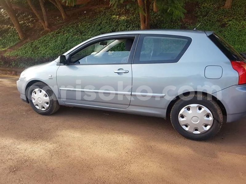 Big with watermark 57294193 204824267161825 188768781936361472 n