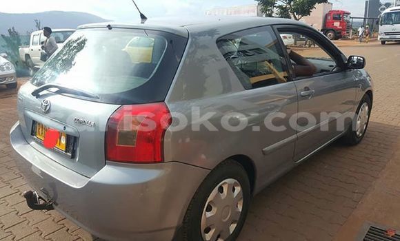 Buy Used Toyota Corolla Other Car in Kigali in Rwanda Buy Used Toyota Corolla Other Car in Kigali in Rwanda