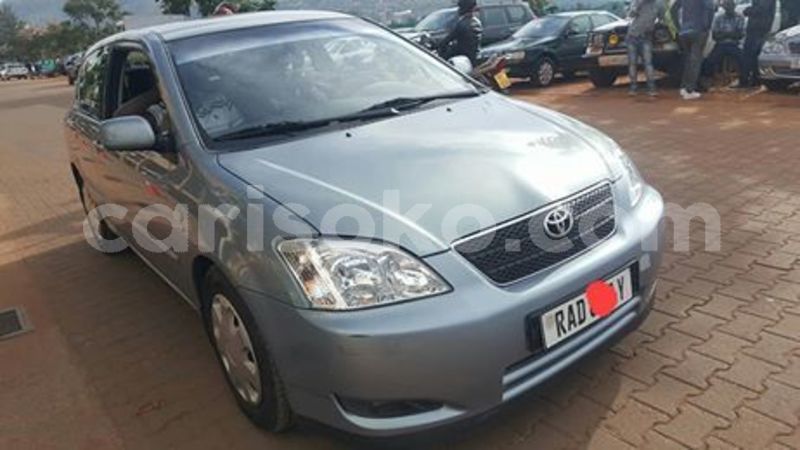 Big with watermark 57133819 204824190495166 8393905043295698944 n