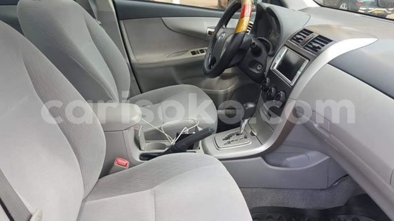 Big with watermark 57358216 203867760590809 3158525061216862208 n