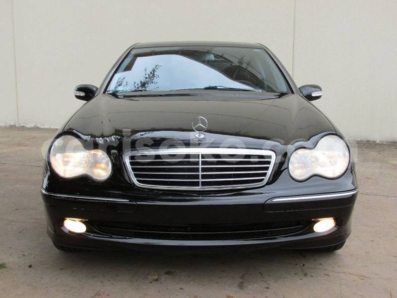 Big with watermark h1