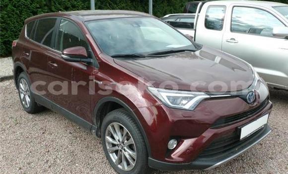 Sayi Na hannu Toyota RAV4 Beige Mota in Kigali a Rwanda Sayi Na hannu Toyota RAV4 Beige Mota in Kigali a Rwanda