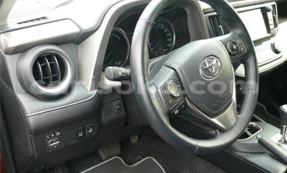 Buy Used Toyota RAV4 Beige Car in Kigali in Rwanda Buy Used Toyota RAV4 Beige Car in Kigali in Rwanda