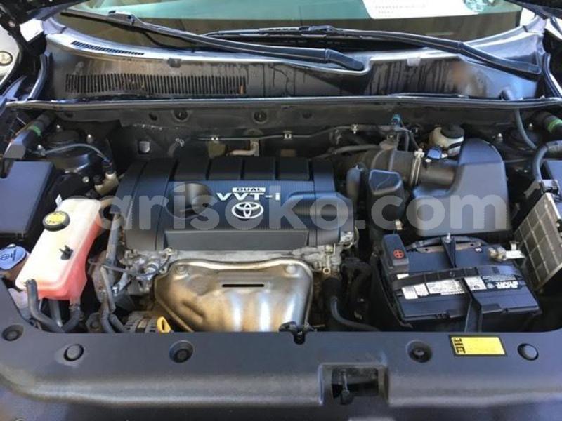 Big with watermark 640x480 52 