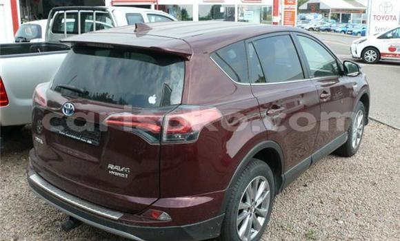 Buy Used Toyota RAV4 Beige Car in Kigali in Rwanda Buy Used Toyota RAV4 Beige Car in Kigali in Rwanda