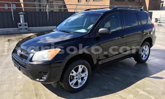 Buy Used Toyota RAV4 Black Car in Kigali in Rwanda Buy Used Toyota RAV4 Black Car in Kigali in Rwanda