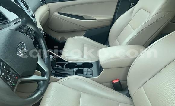 Buy Used Hyundai Tucson Black Car in Kigali in Rwanda Buy Used Hyundai Tucson Black Car in Kigali in Rwanda