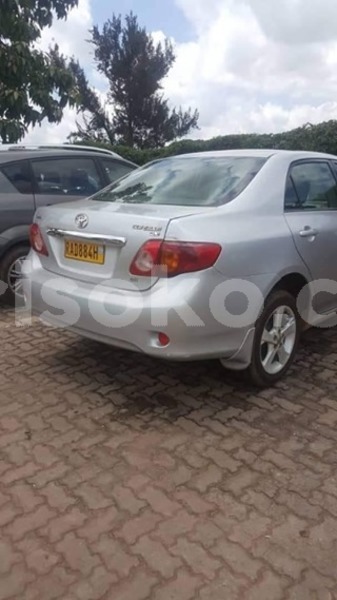 Big with watermark 59392908 2205861212784874 8883400924127559680 n