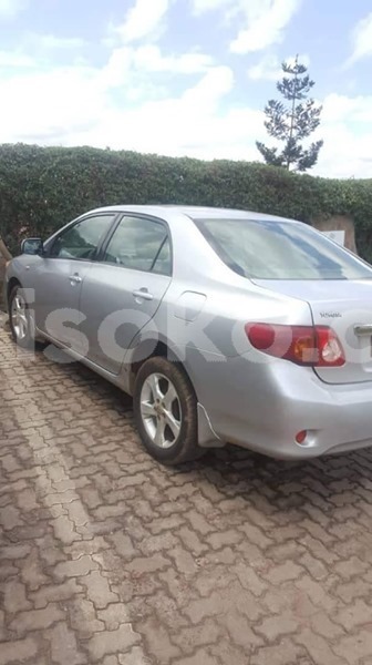 Big with watermark 58761474 2205861049451557 8140884607173132288 n