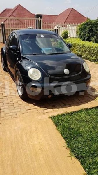 Big with watermark 57226391 2190399137664415 8195991116344983552 n