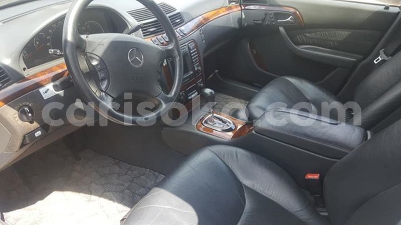 Big with watermark 59168531 1158540237662662 2755471805308207104 n