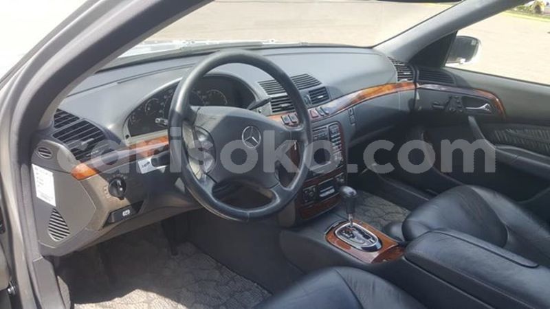 Big with watermark 59518081 1158540144329338 3862537971320225792 n