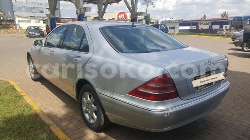 Big with watermark 59375727 1158540017662684 3808704675138502656 n