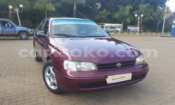 Buy Used Toyota Carina E Red Car in Kigali in Rwanda Buy Used Toyota Carina E Red Car in Kigali in Rwanda