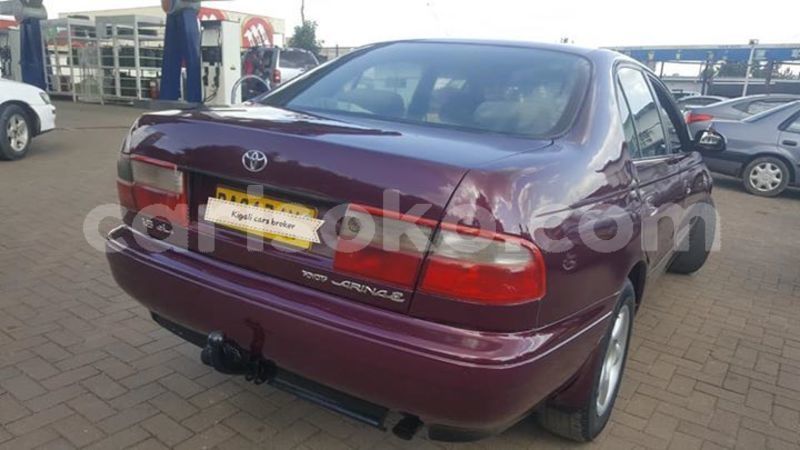 Big with watermark 59399811 1158569124326440 2545331184502571008 n