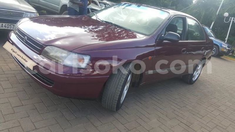 Big with watermark 58917124 1158569040993115 1268833338961952768 n