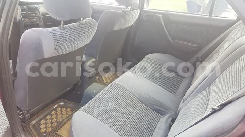 Big with watermark 59549177 1158569500993069 8963515606229843968 n