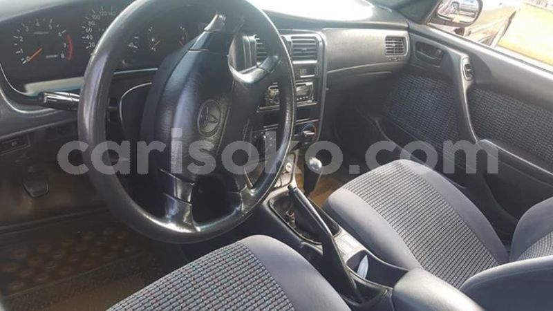 Big with watermark 59554546 1158569427659743 5543865664516653056 n