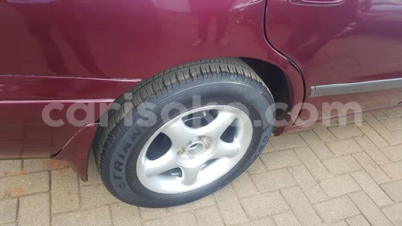 Big with watermark 58994583 1158569354326417 615534827164139520 n