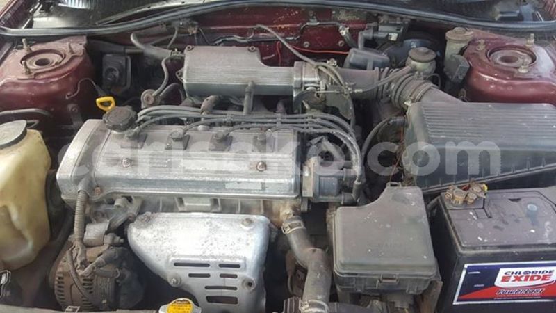 Big with watermark 59633317 1158569197659766 3262392660517715968 n