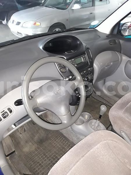 Big with watermark 59342952 1158526127664073 8680684025444040704 n