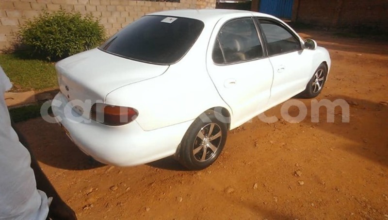 Big with watermark 59423117 167160937618331 7852866063103426560 n