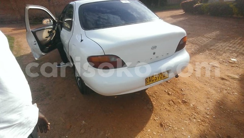 Big with watermark 58680929 167160974284994 341235344940728320 n