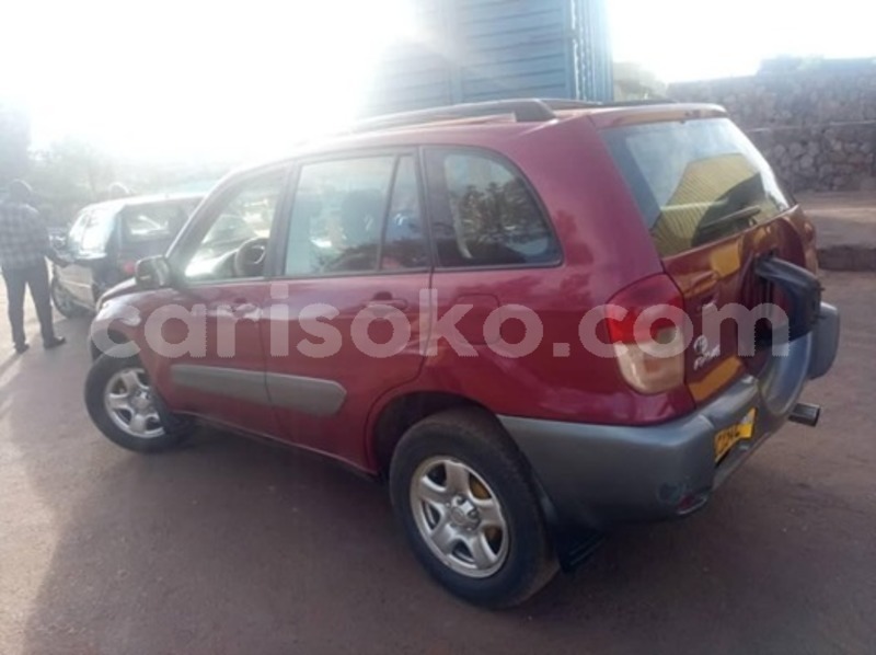 Big with watermark 59121101 2379968392290111 5808809535443304448 n