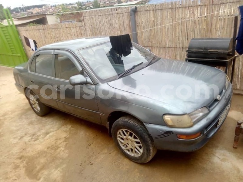 Big with watermark 59244118 2379657178987899 7185012555679531008 o