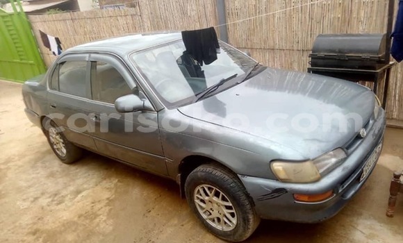 Buy Used Toyota Corolla Other Car in Kigali in Rwanda Buy Used Toyota Corolla Other Car in Kigali in Rwanda