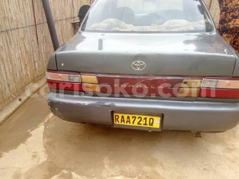 Big with watermark 59404922 2379657135654570 5020970808026071040 n