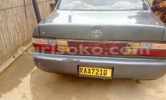 Buy Used Toyota Corolla Other Car in Kigali in Rwanda Buy Used Toyota Corolla Other Car in Kigali in Rwanda