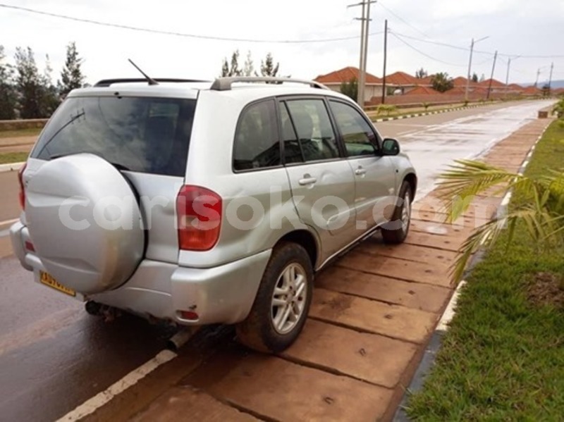 Big with watermark 59660936 2379422199011397 3030334439348502528 n