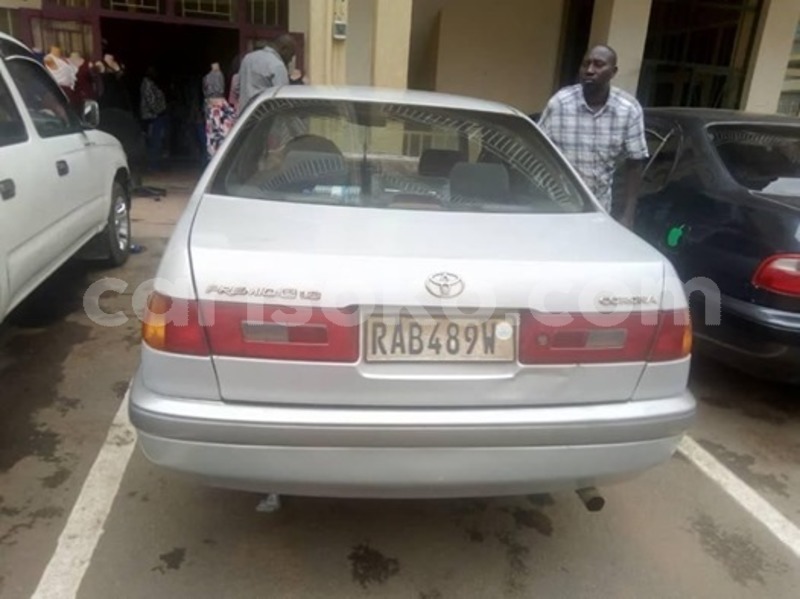 Big with watermark 59709700 2379381135682170 4370527715040690176 n