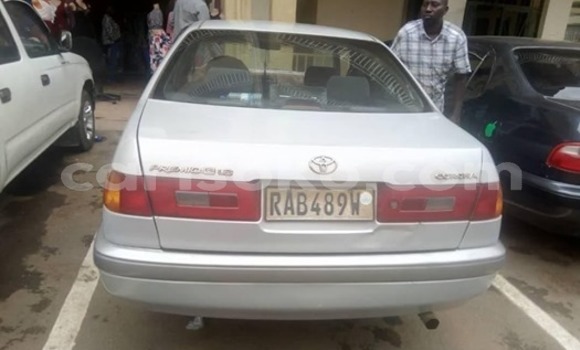 Buy Used Toyota Corolla Silver Car in Kigali in Rwanda Buy Used Toyota Corolla Silver Car in Kigali in Rwanda