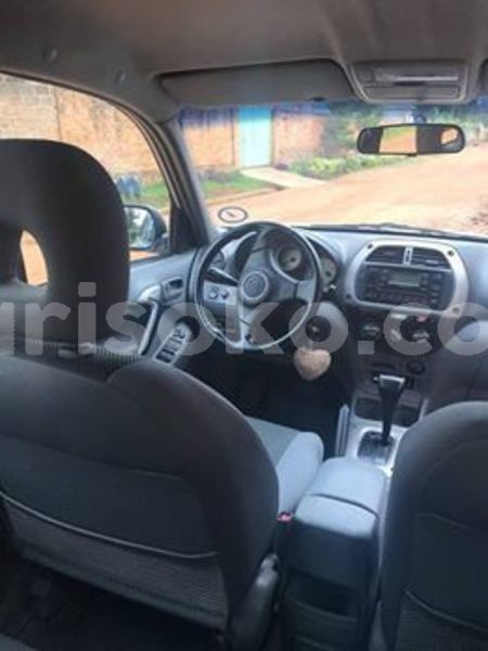 Big with watermark 59157490 2377409895879294 4683947185325211648 n