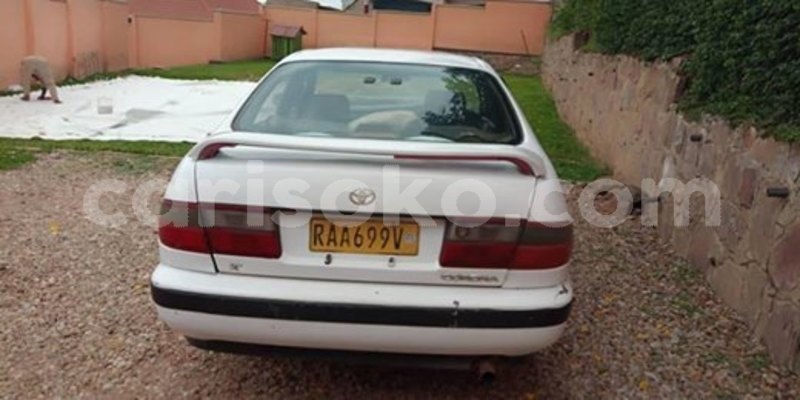 Big with watermark 58574792 2377280295892254 5883339849527721984 n